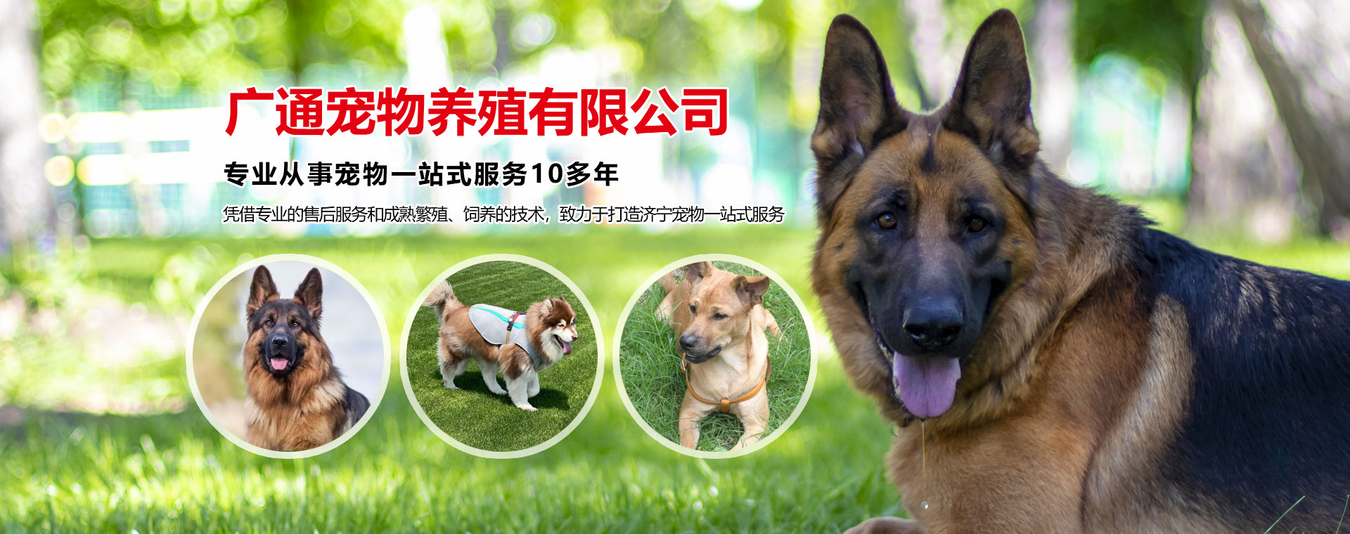 水桶吹塑機(jī)